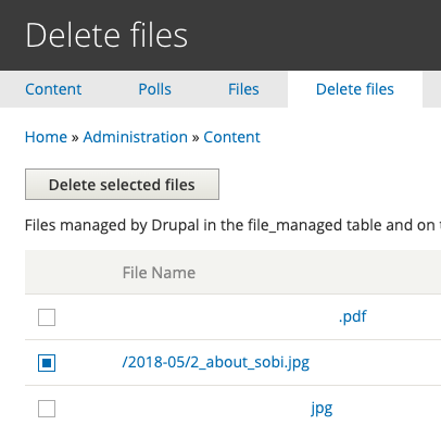 Delete files action button and selection of file